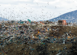 В Новороссийске мусор начали складировать рядом с полигоном 