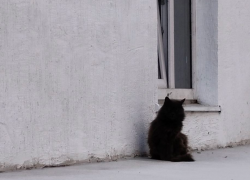 Льготная ипотека – одна на семью: кому Минфин «ударит по рукам»