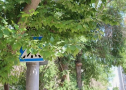 Безопасность отсутствует? Что предпринимается властями ради комфорта новороссийских школьников