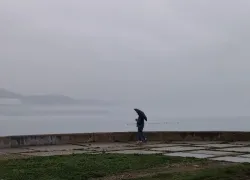 Овнам звезды порекомендовали не спешить, а Близнецам – фильтровать информацию