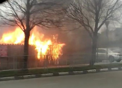На углях: пожар разбушевался в павильоне с шаурмой в Новороссийске 