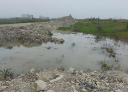 Ущерб в 15 миллионов: земельные участки в Алексино гибнут от загрязнений 