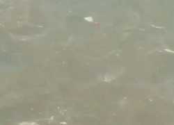 Канализационные волны плещутся в Черном море в Новороссийске