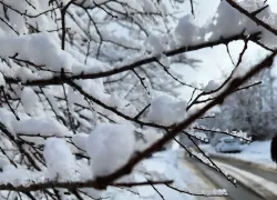 Снежный рекорд: метеорологи рассказали, откуда в Новороссийске столько снега и что будет дальше