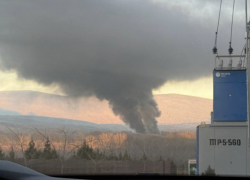 Безопасность требует жертв: в Натухаевской сжигают зараженных птиц