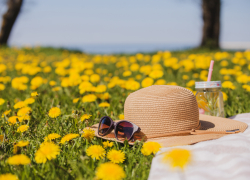 Гороскоп от «Блокнота»: как звезды советуют провести первый день лета