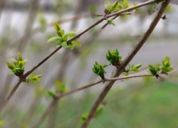 Новороссийская зима расстроилась и льет слезы целый день