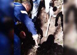 Прятал тело в лесу: убийца показал останки жертвы полиции Новороссийска 