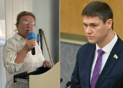 «Повы», «лолы», «хиллы» и «гардены»: в Госдуме запретили иностранные слова на вывесках и надписях