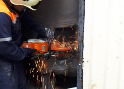 Неблагодарного кота-«фокусника» в Новороссийске спасли, несмотря на его старания