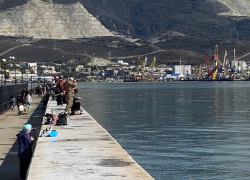 Транзит идет на спад: грузооборот рухнул в порту Новороссийска на 15%