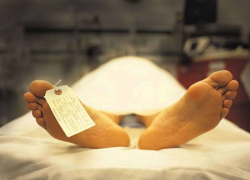 Находки, которые взбудоражили Новороссийск. Топ-3 жутких преступлений