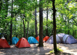 Стали известны подробности кровавой драмы в Ахипо-Осиповке