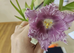 Гороскоп от «Блокнота»: Тельцам уделить время близким, а Водолеям искать знаки