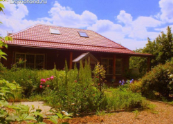 100 кустов конопли культивировал житель Новороссийска