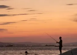 Львов ожидает удачный день, а Весы – готовятся к романтическим сюрпризам