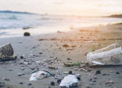 А мы в этом купаемся: в Чёрном море обнаружено превышение химикатов 