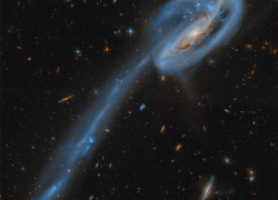 Гороскоп от “Блокнота” на 16 июля: Раков ждут неожиданности, а Весам стоит проявить выдержку