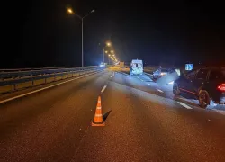 Раздавила насмерть: на трассе М-4 «Дон» произошла страшная авария с фурой и пешеходами