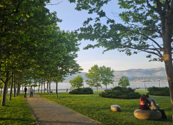 Гороскоп от «Блокнота»: тельцам избегать лишних трат, а ракам проявить мудрость