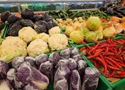 Назван ТОП-10 продуктов от гиповитаминоза: советы новороссийцам от Роскачества 