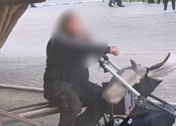 "Такого хамства я не видела!": конфликт в поликлинике Новороссийска 
