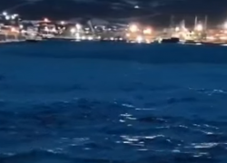 Мазут или водоросли? В бухте Новороссийска появились чёрные пятна 