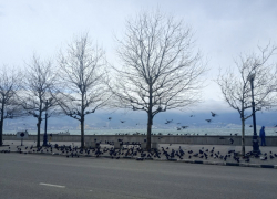 Атака БПЛА в Новороссийске: транспорт не ездит, в школу не идем 