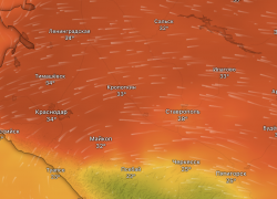 Чрезвычайная пожароопасность на Кубани — жара в Новороссийске не отступает
