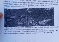  Грибы ходят в лес собирать людей  — смертельный урожай недели в Новороссийске