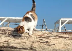 Испачкали всю одежду: чем может обвернуться прогулка для новороссийцев