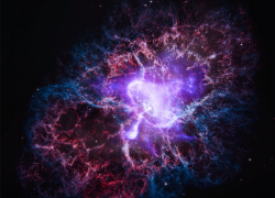 Гороскоп от “Блокнота” на 24 июля: Раки будут эмоциональны, а Весы продуктивны