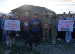 "Владимир Владимирович, помоги!": новороссийцы категорически против нового Генплана