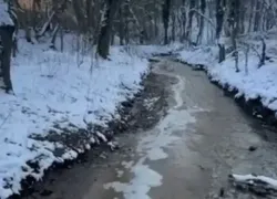 Мусорный полигон отравил реки Новороссийска