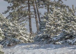 Сюрприз от погоды: в Новороссийске выпал первый снег 