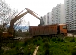 Активистка Пионерской рощи сообщила о том, что была избита строителями за видеосъëмку