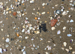 «Новые выбросы мазута есть, но небольшие»: Оперштаб отчитался об обстановке на Черном море 