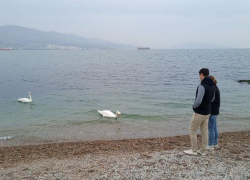 Гороскоп от «Блокнота»: Львам стоит проследить за расходами, а тельцам – сохранить спокойствие