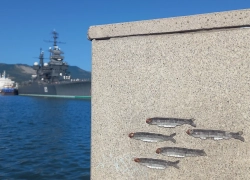 Погода в Новороссийске: облачно, душно, близится осень 