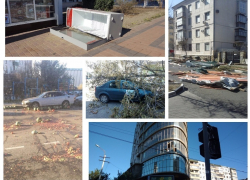 Ветер показал слабые стороны коммунальщиков в Новороссийске