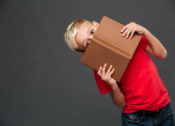 Средние школы Новороссийска перестанут изучать обществознание