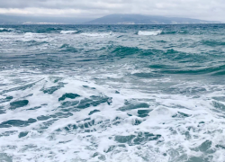 Вылезайте из моря и слазьте с САПов: штормовое предупреждение в Новороссийске