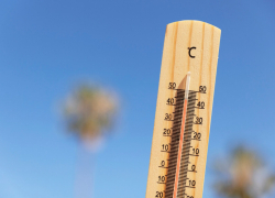 Новороссийск вошел в топ самых жарких мест России — в городе отступит жара?