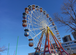 Парк имени Фрунзе в Новороссийске может вернуть свой зелёный облик