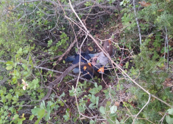 Пятница не удалась: новороссийца, застрявшего в кустах, чудом нашли в лесу