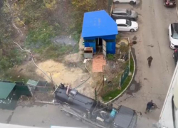 Водоканал полил стоковыми водами Цемесскую рощу