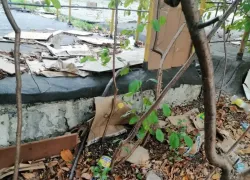 Власти Новороссийска призвали горожан начать «порядок с себя»