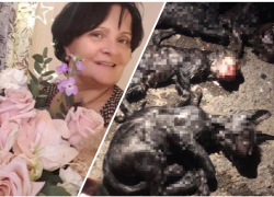 Жительница Новороссийска убивала животных ради денег 