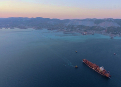 Новороссийский порт обжалует решение по тарифному делу о черных металлах