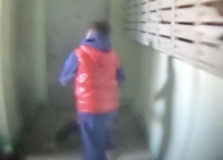 Дети прыгали на самокате в подъезде одного из домов в Новороссийске